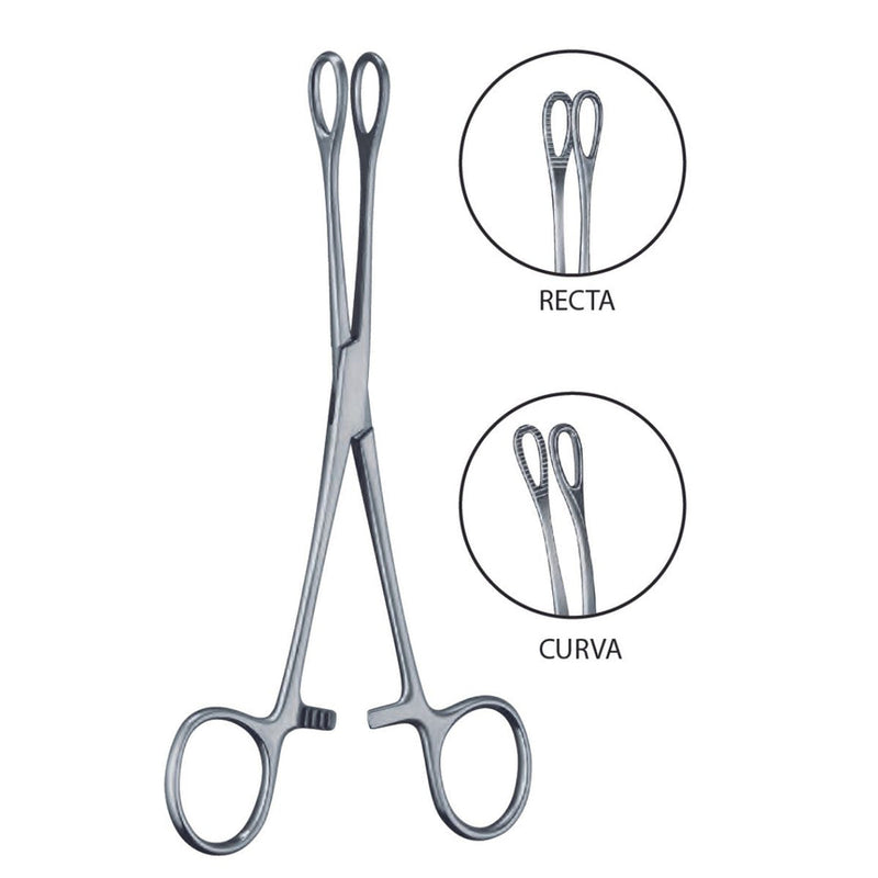 Pinza Forester Porta Esponjas de Acero Inoxidable Alemán | Marca Hergom
