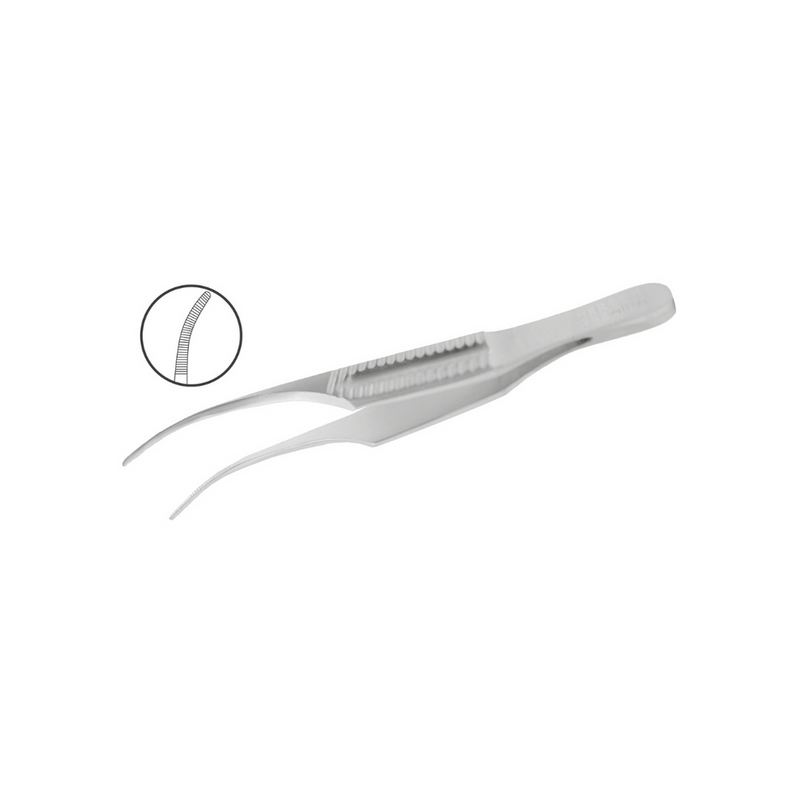 Pinza Colibrí Gill - Marca Hergom Premium